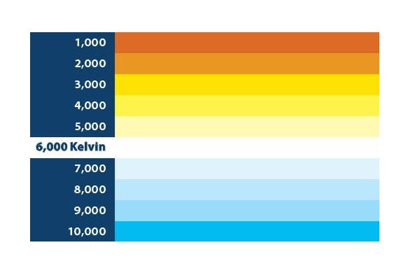 Blaupunkt V19 PRO 6000K 110W 12V LED Lamps/Bulbs