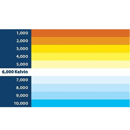 Blaupunkt BP 6000 PRO D Series 6000K 12V LED Lamps/Bulbs